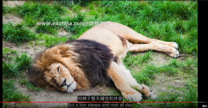 QQ截图20220930212120.jpg