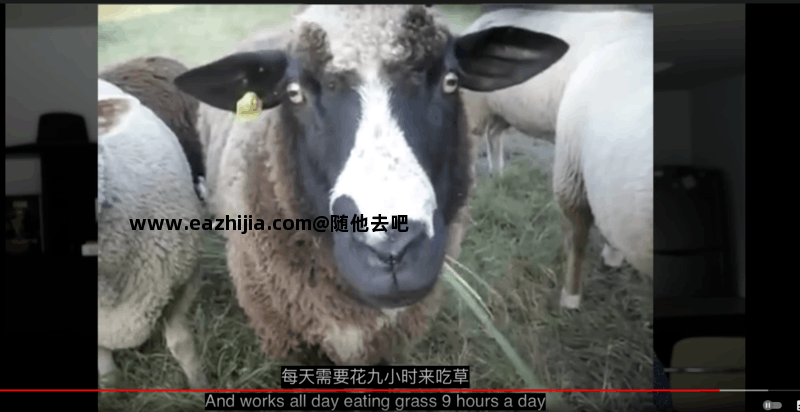 QQ截图20220930212106 (1).png