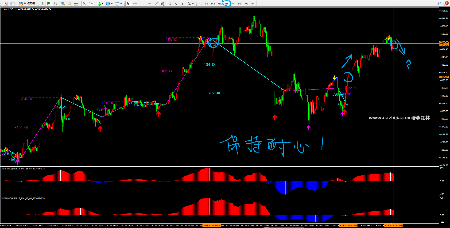 QQ20260107-110216.png