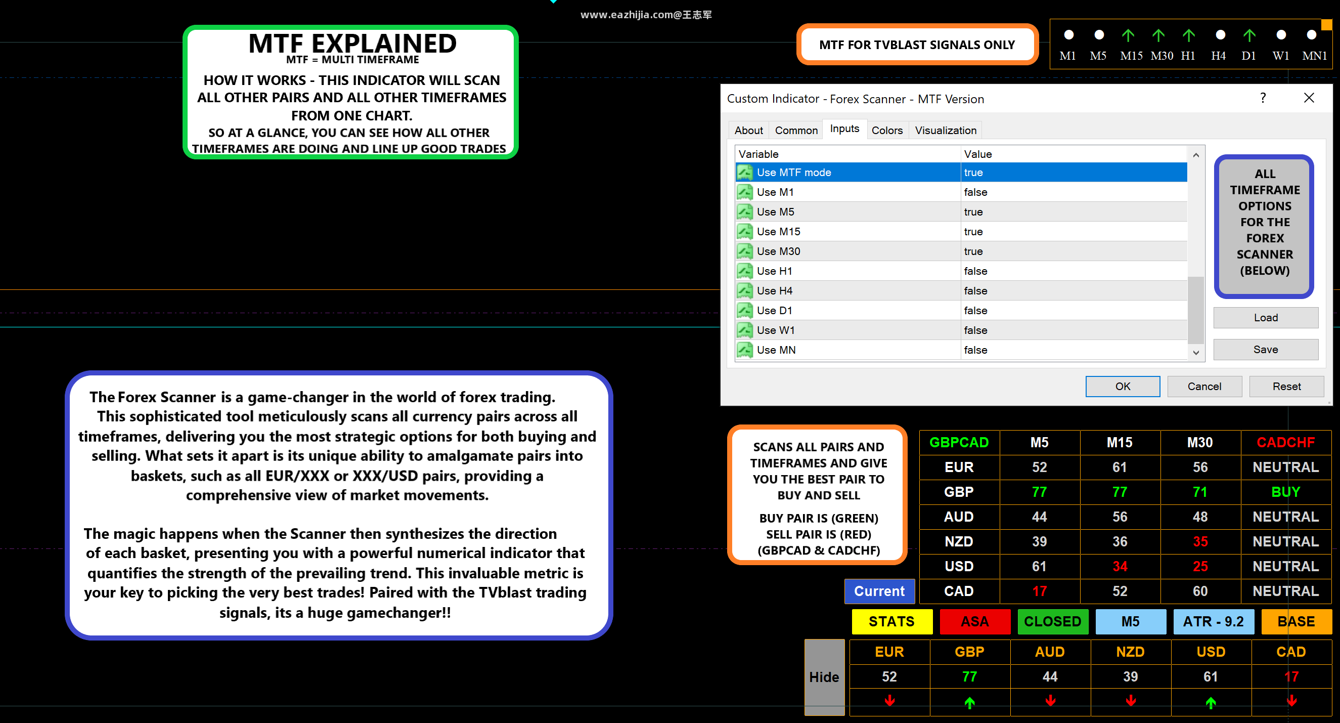 Forex-Scanner-And-MTF-Options.png