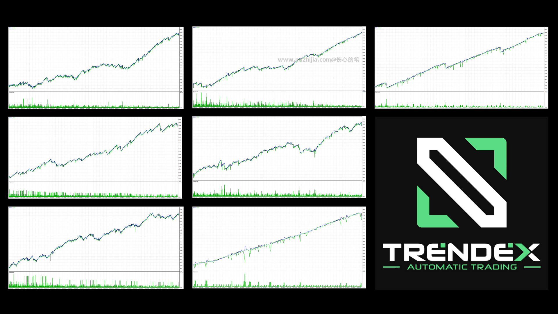 Building_my_Nexus_Portfolio__2.png
