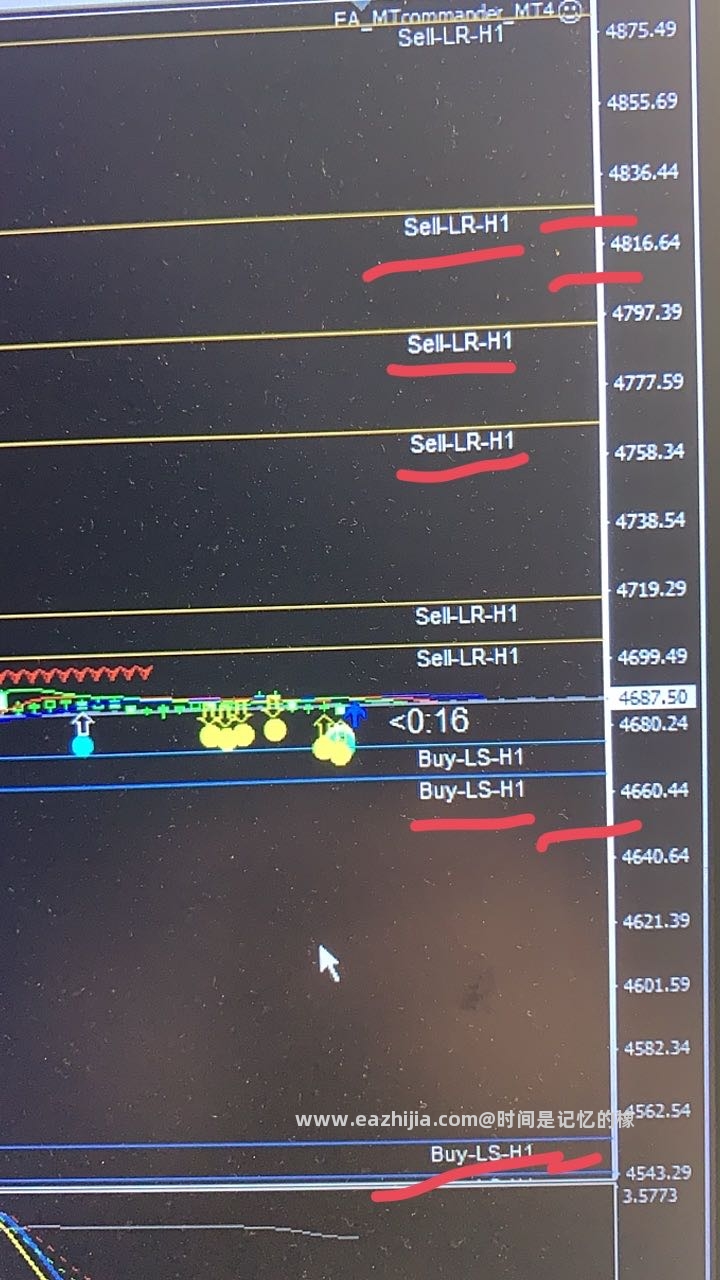 1778770101000.jpg